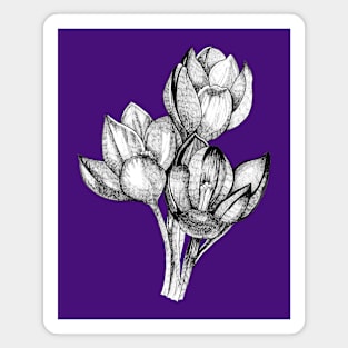 Ink - Crocus Magnet